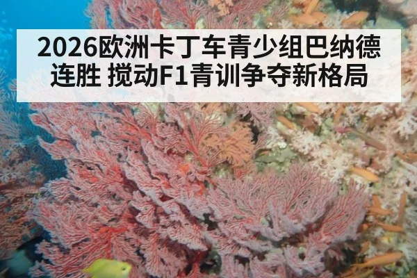 2026欧洲卡丁车青少组巴纳德连胜 搅动F1青训争夺新格局 | 9game app