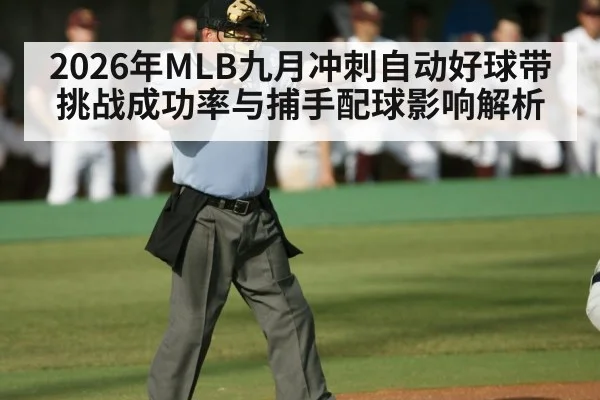 baseball umpire strike zone